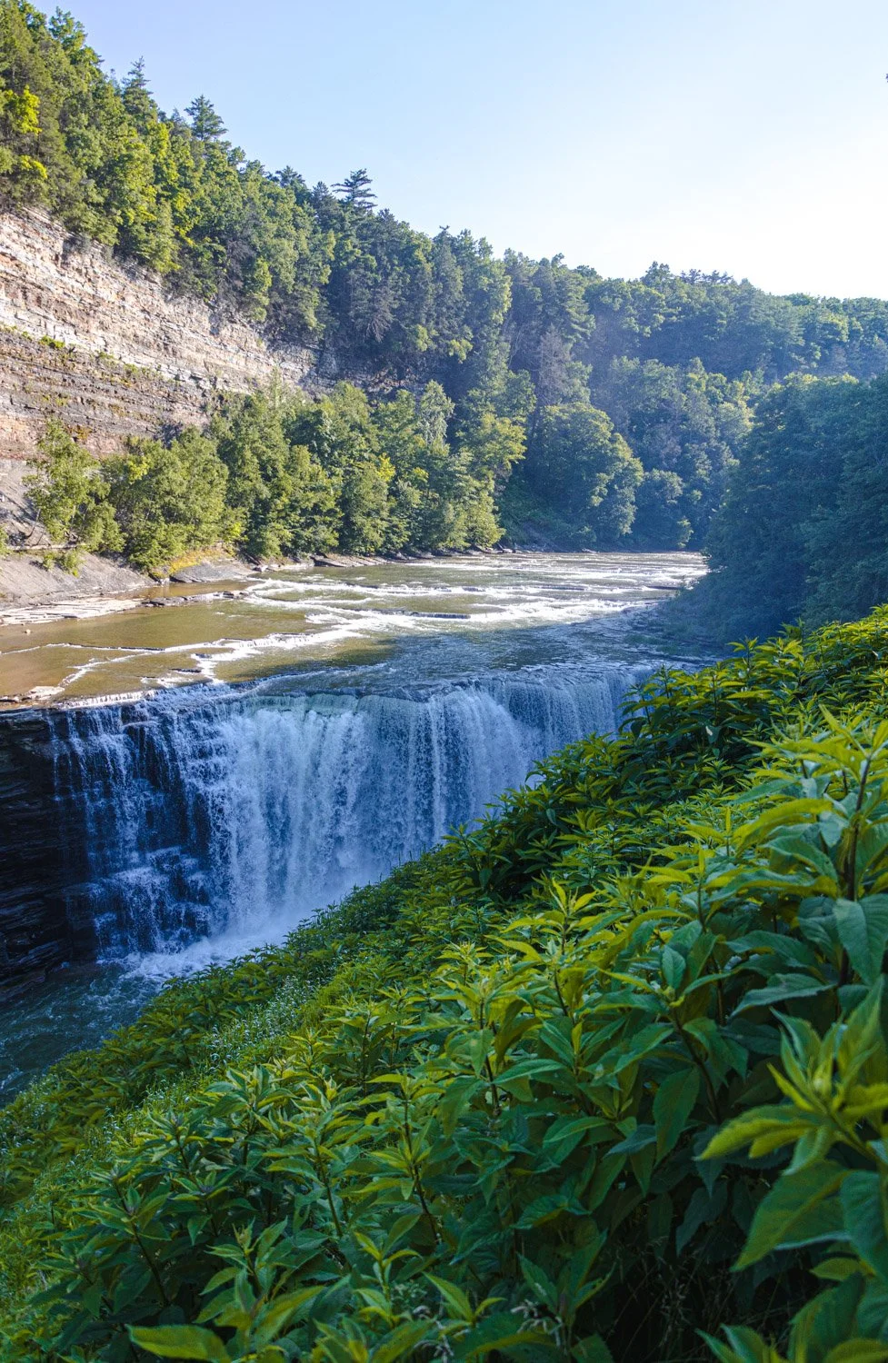 LetchworthStatePark-28June2026-LiamTheoPhotography-72.jpg