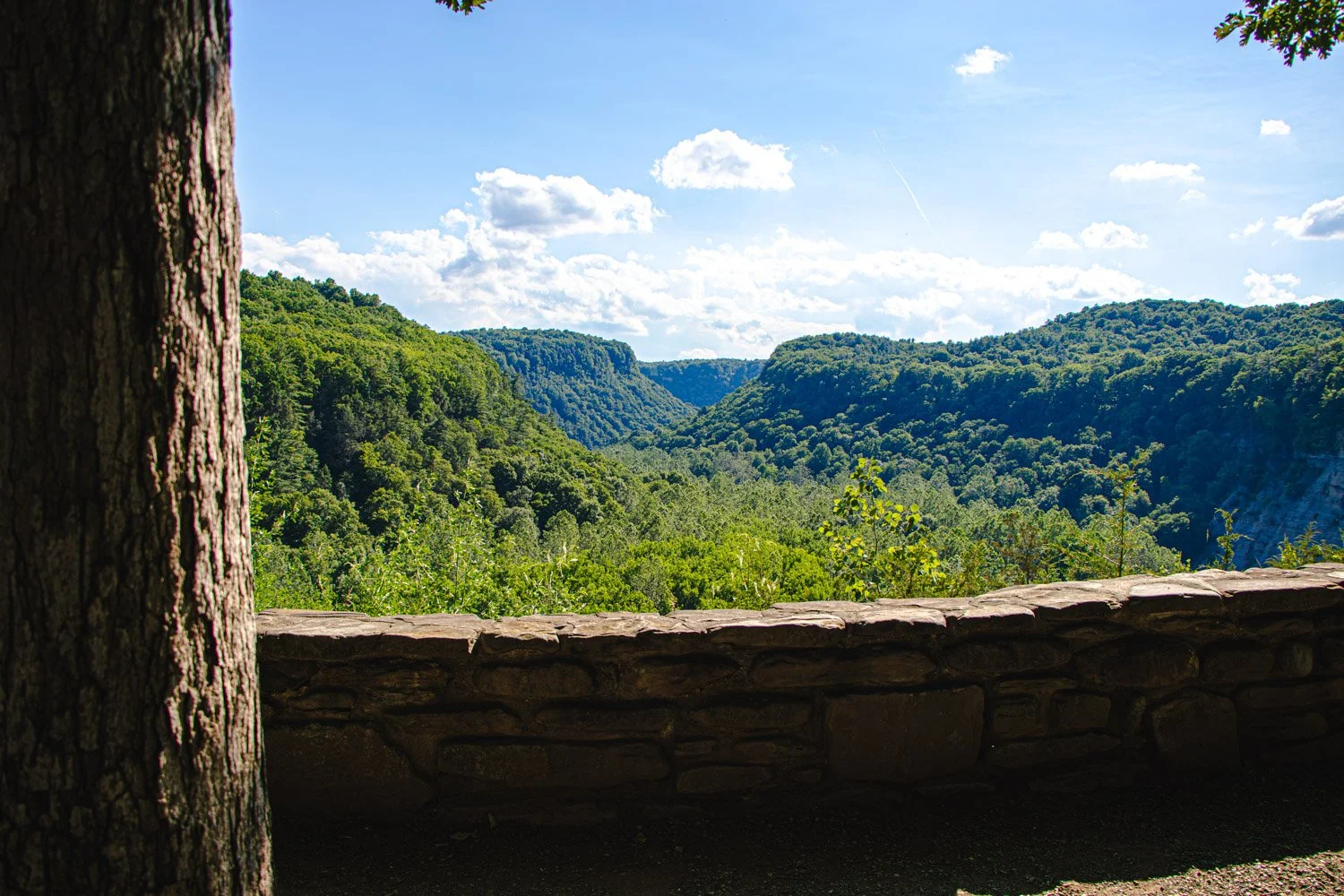 LetchworthStatePark-28June2026-LiamTheoPhotography-27.jpg
