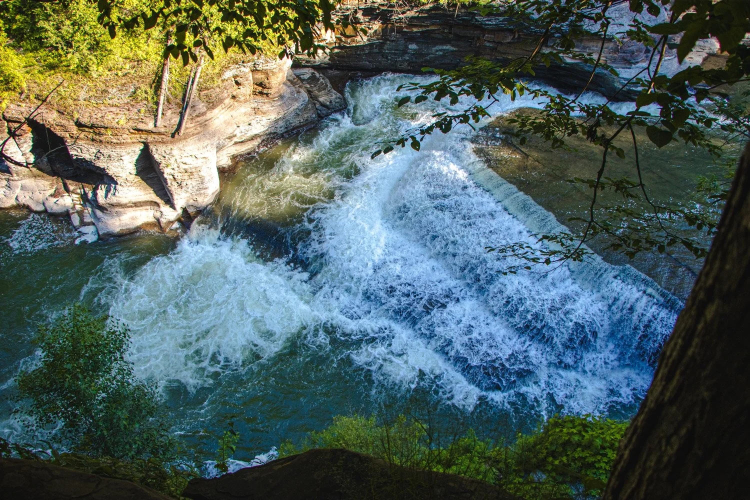 LetchworthStatePark-28June2026-LiamTheoPhotography-74.jpg