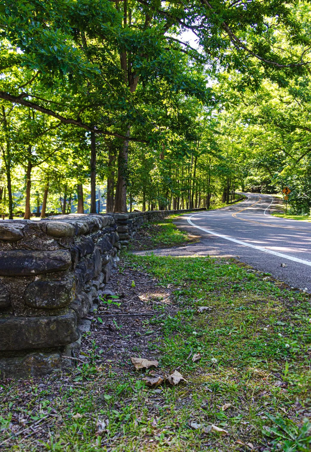 LetchworthStatePark-28June2026-LiamTheoPhotography-37.jpg