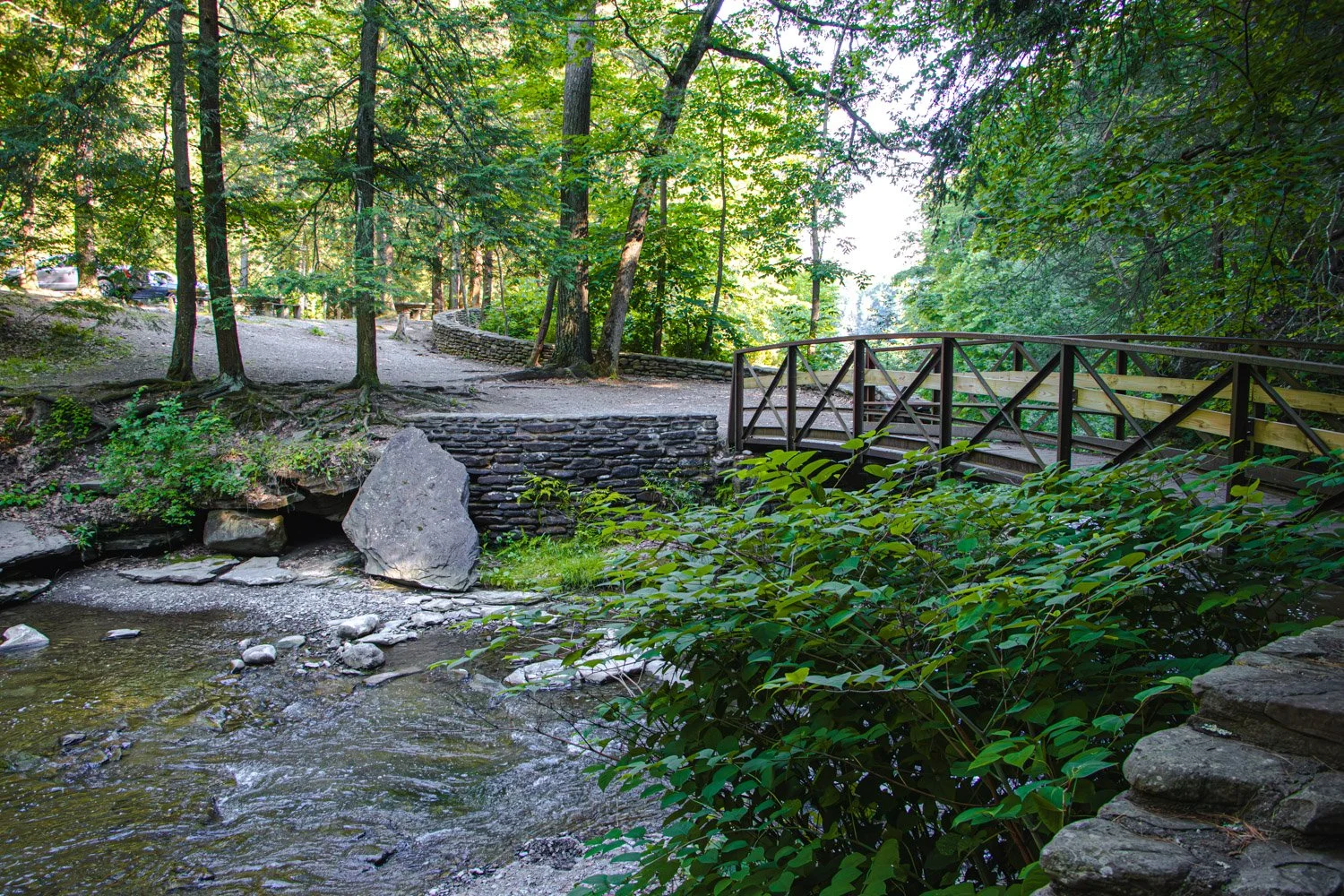 LetchworthStatePark-28June2026-LiamTheoPhotography-49.jpg