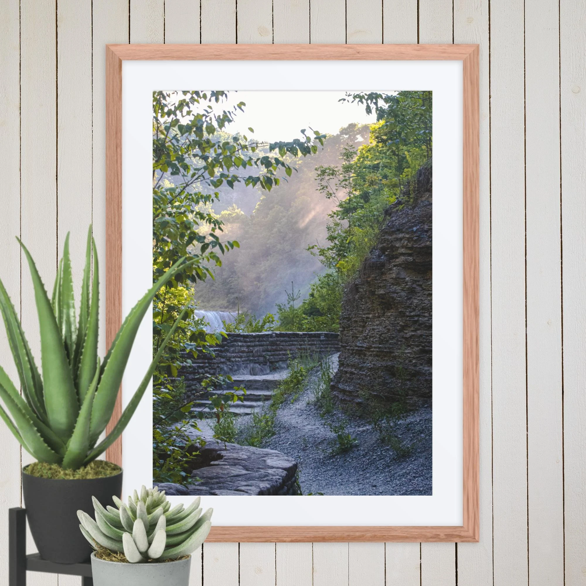 A Walk Along A Hazy Letchworth State Park Photography Print