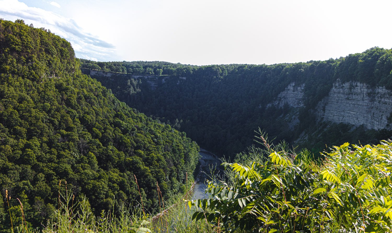 LetchworthStatePark-28June2026-LiamTheoPhotography-53.jpg
