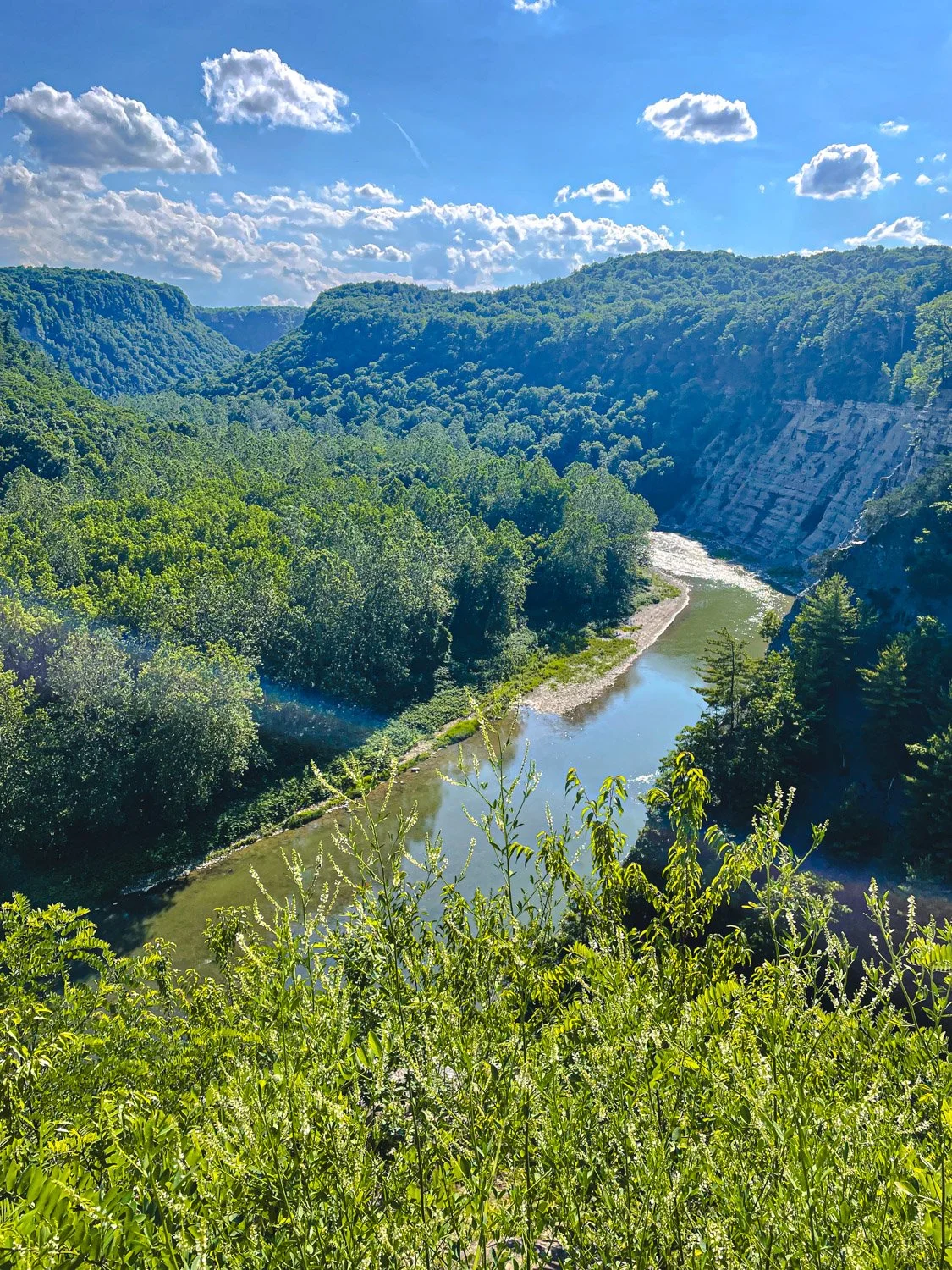 LetchworthStatePark-28June2026-LiamTheoPhotography-59.jpg