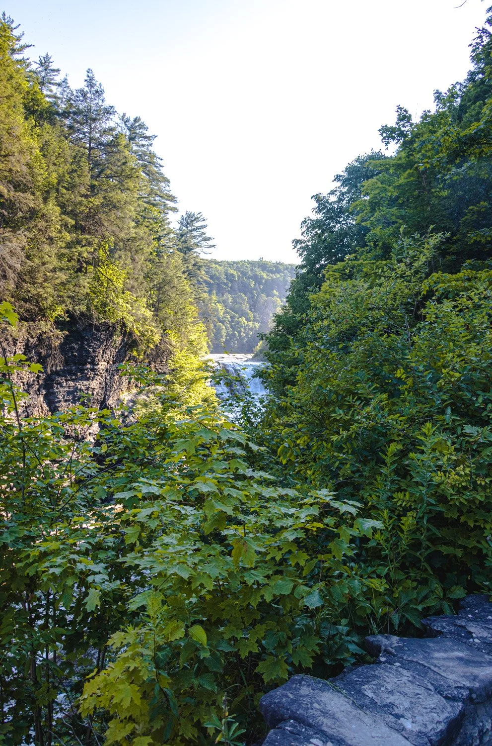 LetchworthStatePark-28June2026-LiamTheoPhotography-77.jpg