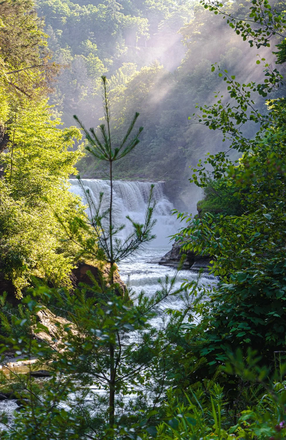 LetchworthStatePark-28June2026-LiamTheoPhotography-78.jpg
