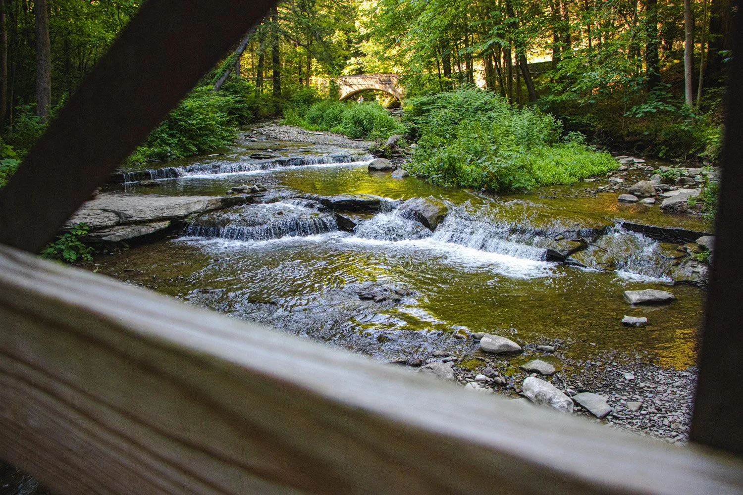LetchworthStatePark-28June2026-LiamTheoPhotography-51.jpg