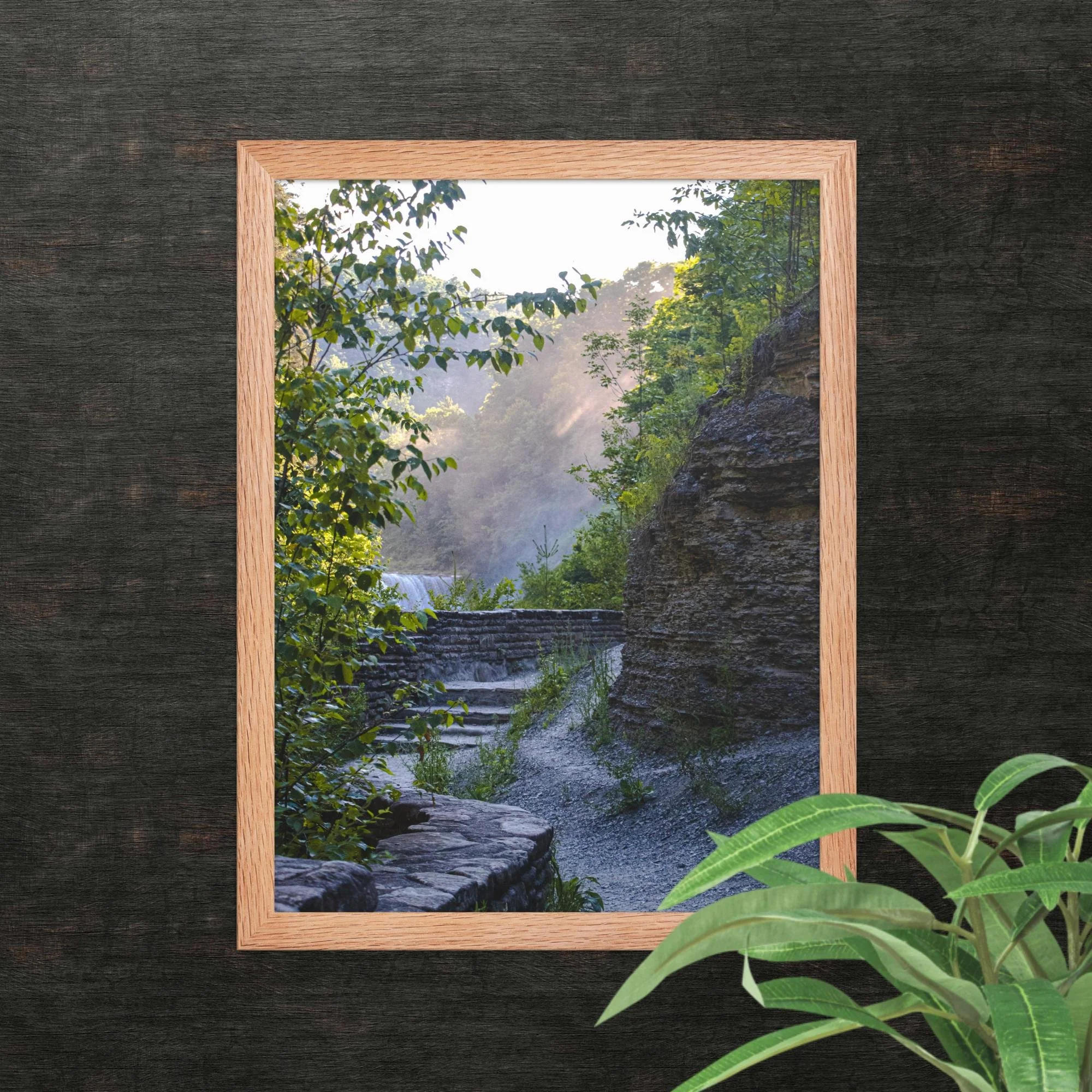 A Walk Along A Hazy Letchworth State Park Photography Print
