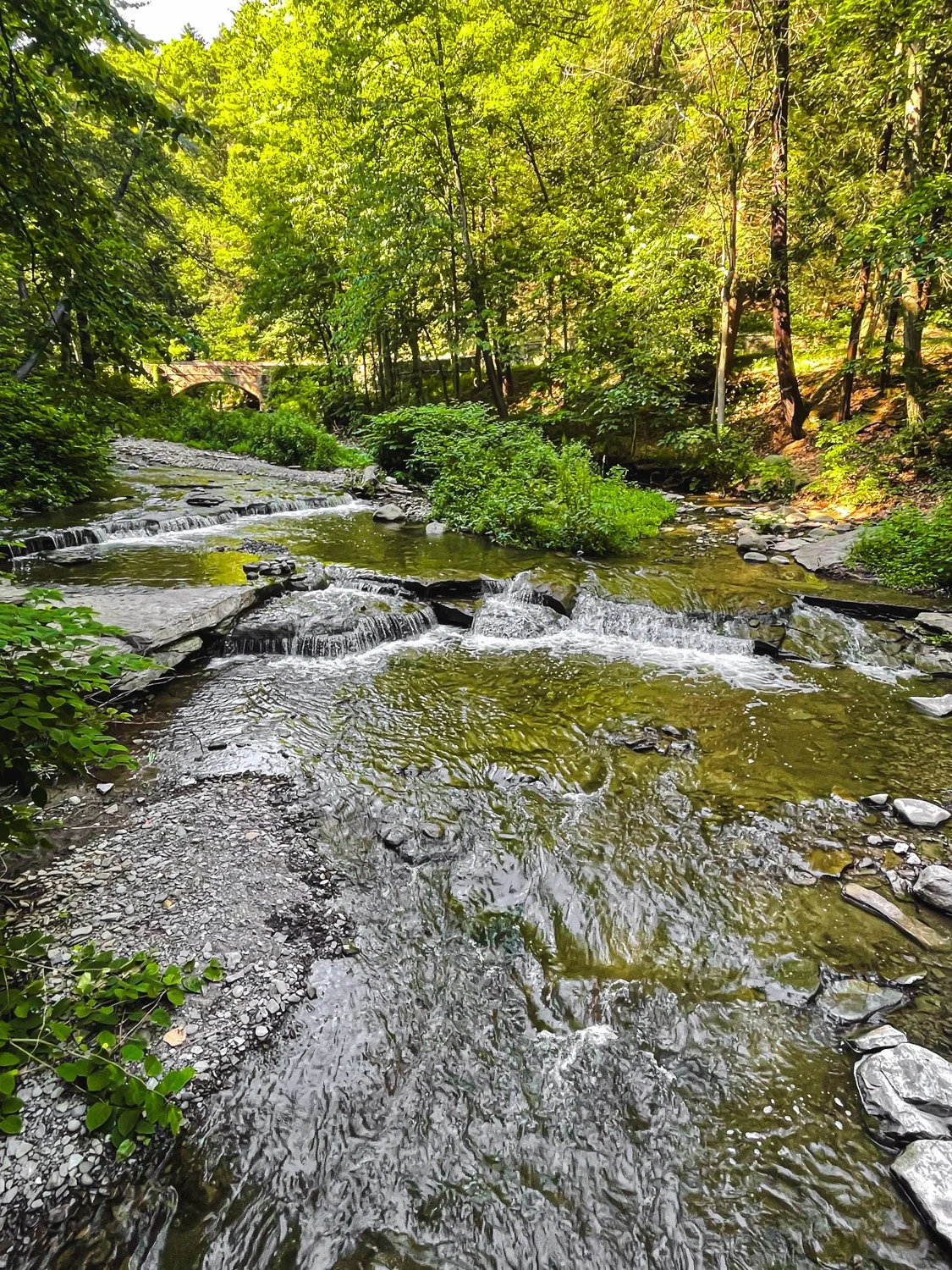 LetchworthStatePark-28June2026-LiamTheoPhotography-66.jpg