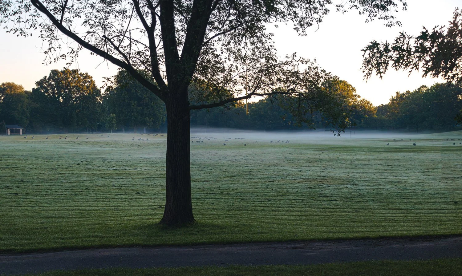 SaturdayMorningInRochesterNewYork-11.jpg