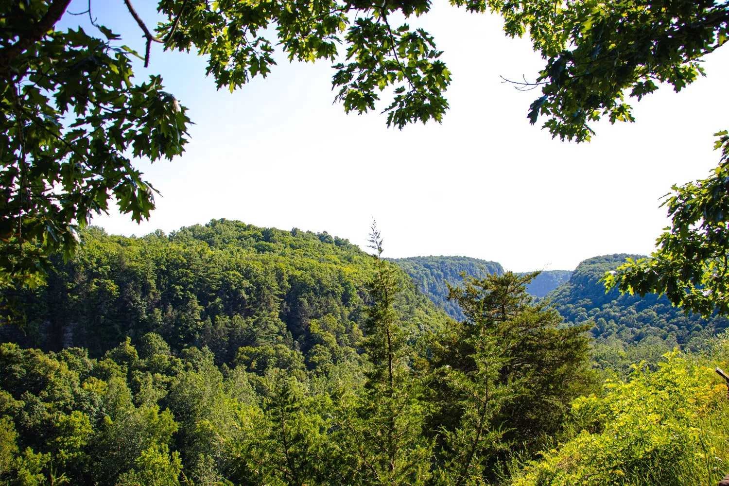 LetchworthStatePark-28June2026-LiamTheoPhotography-31.jpg