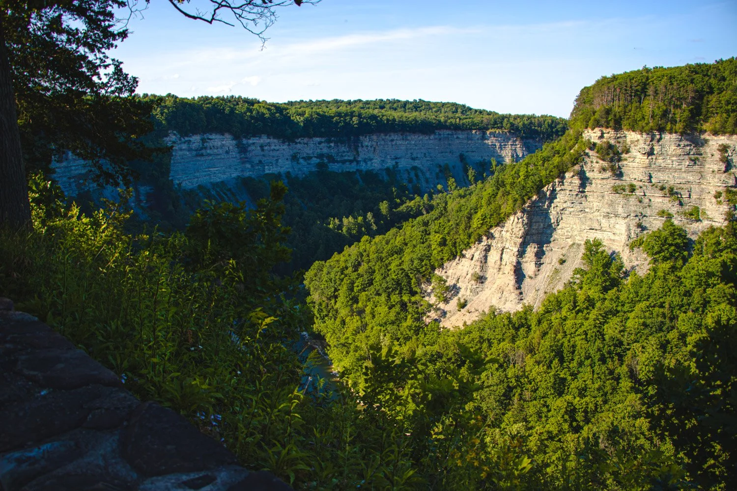 LetchworthStatePark-28June2026-LiamTheoPhotography-61.jpg