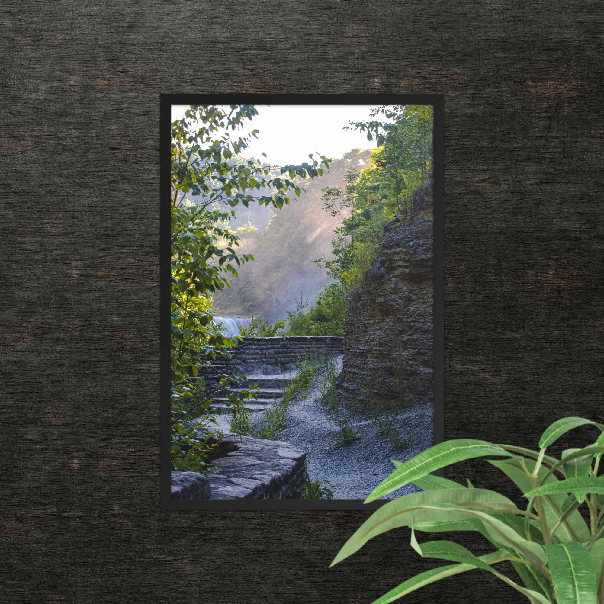 A Walk Along A Hazy Letchworth State Park Photography Print