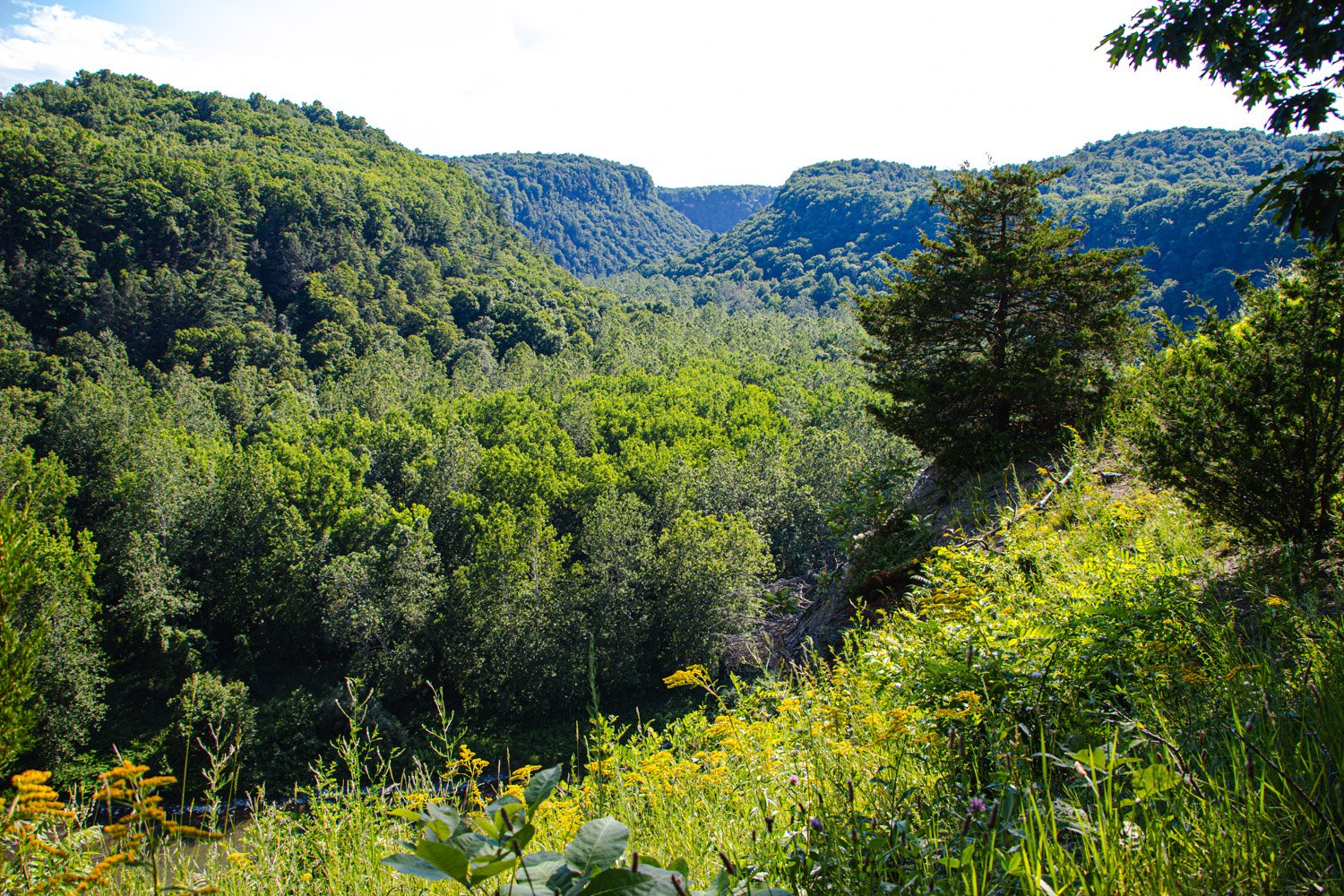 LetchworthStatePark-28June2026-LiamTheoPhotography-30.jpg