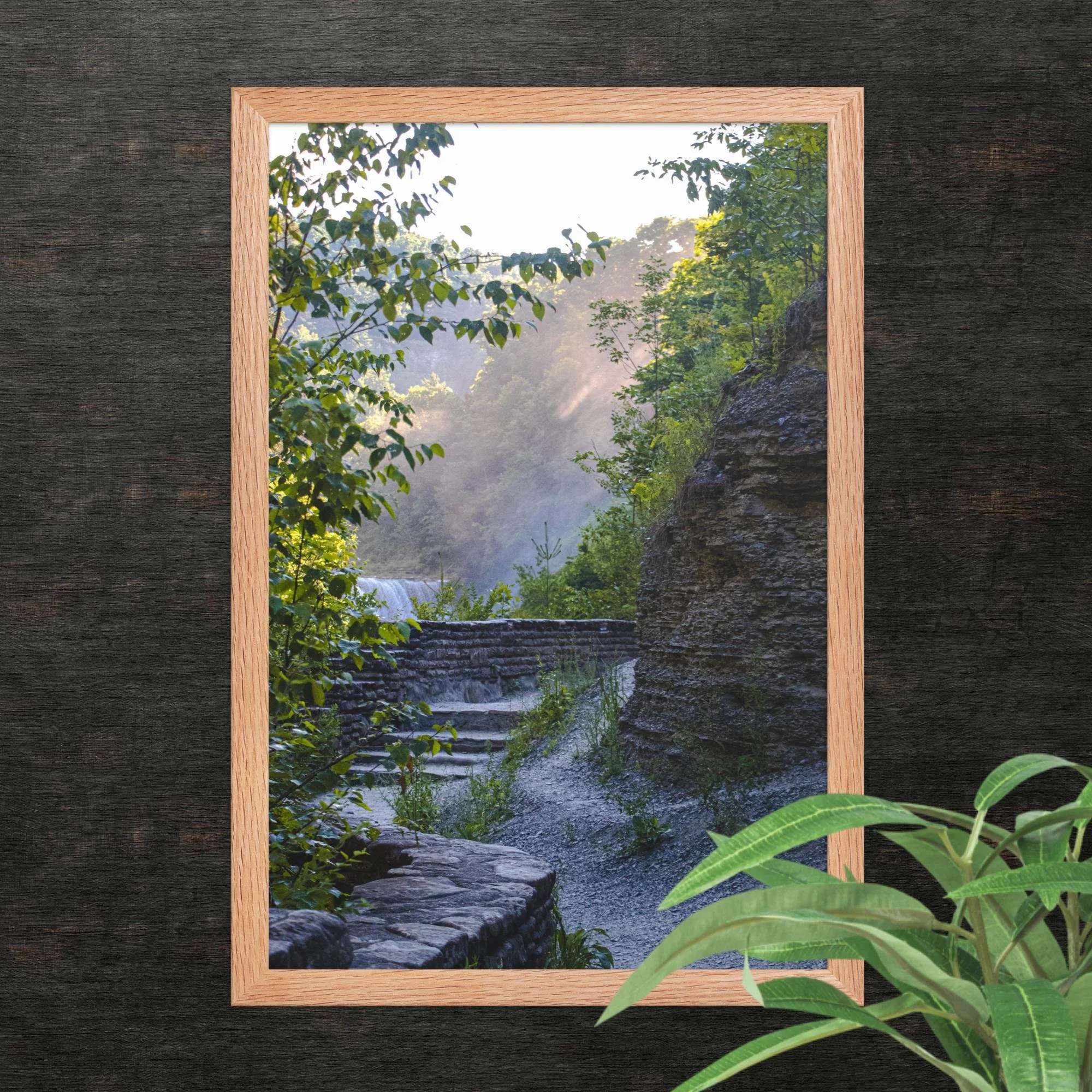 A Walk Along A Hazy Letchworth State Park Photography Print