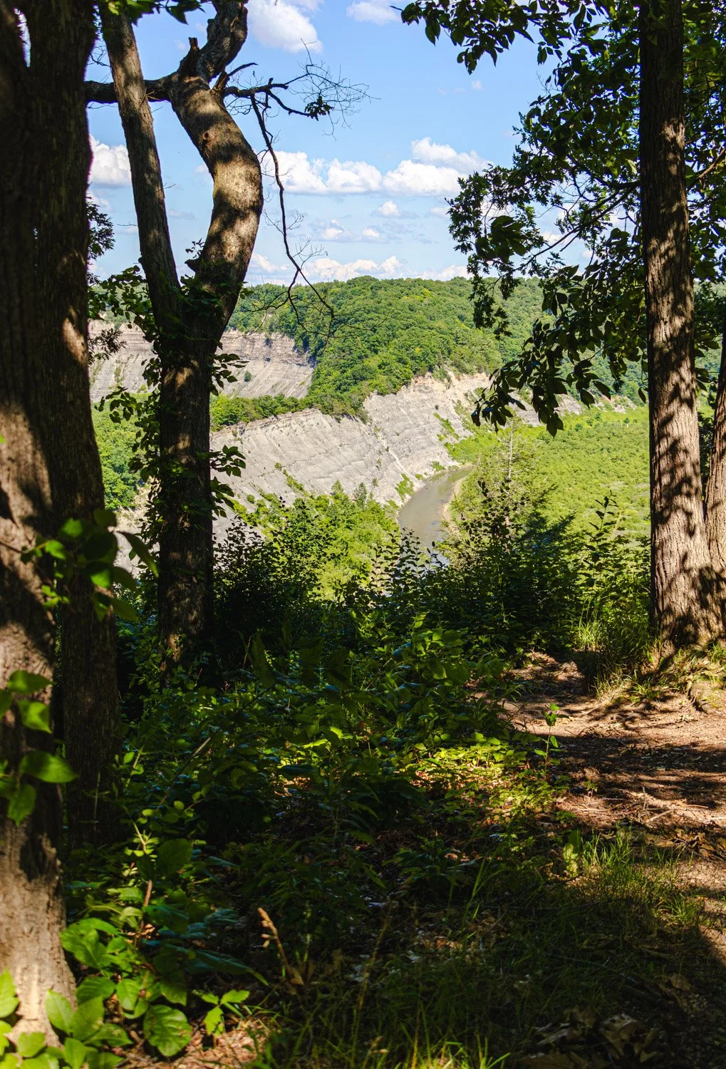 LetchworthStatePark-28June2026-LiamTheoPhotography-09.jpg