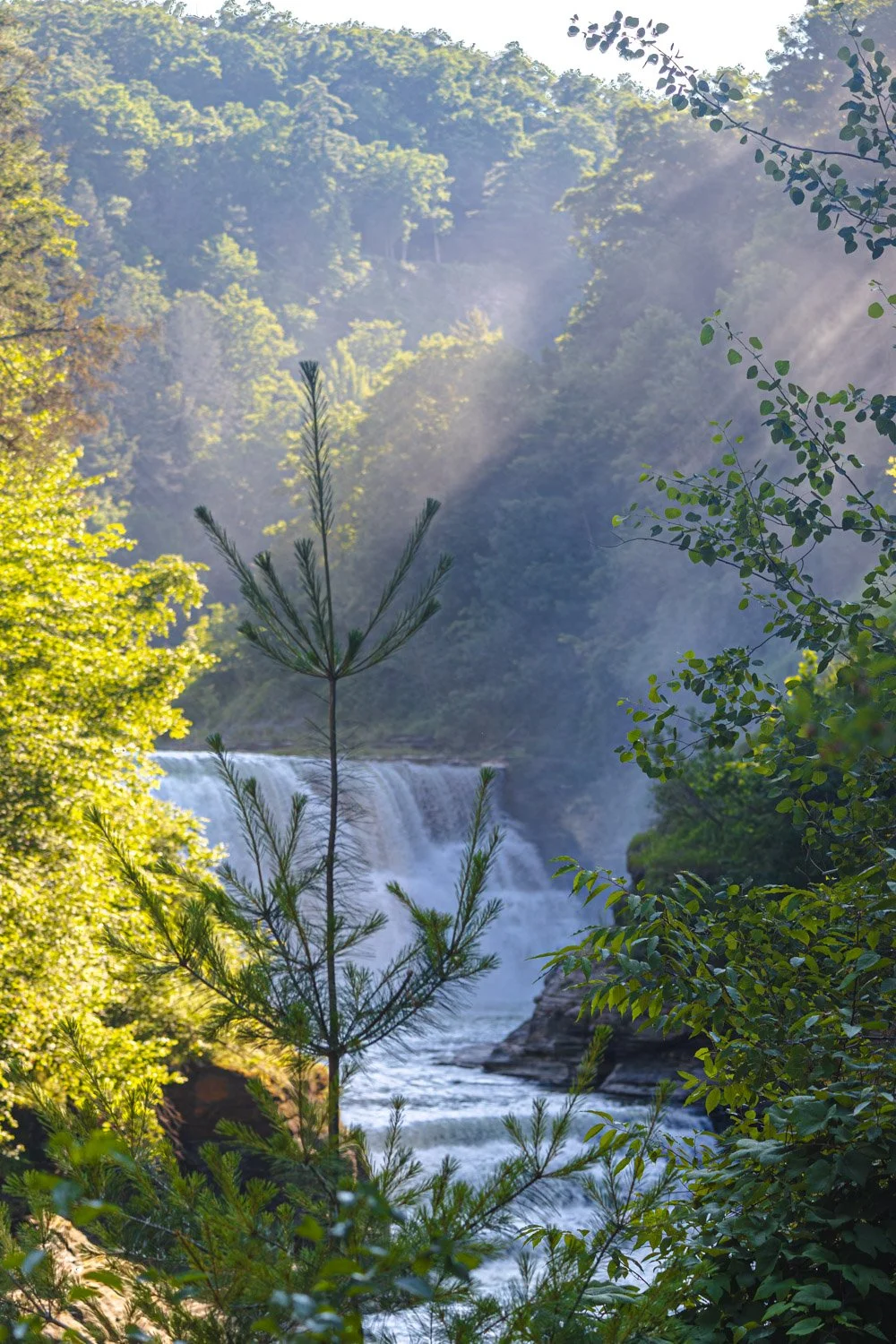 LetchworthStatePark-28June2026-LiamTheoPhotography-68.jpg