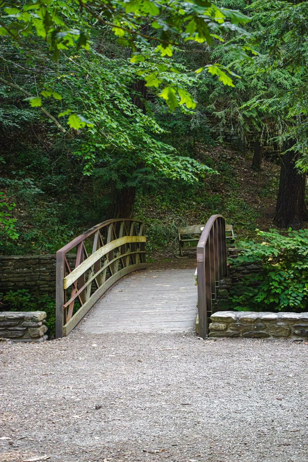LetchworthStatePark-28June2026-LiamTheoPhotography-41.jpg