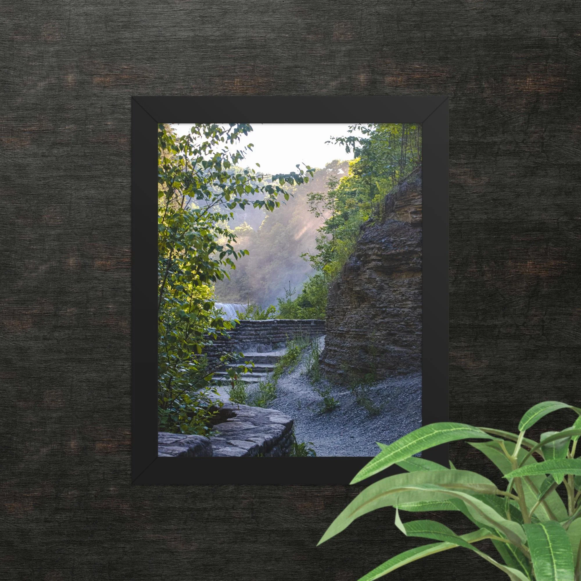 A Walk Along A Hazy Letchworth State Park Photography Print