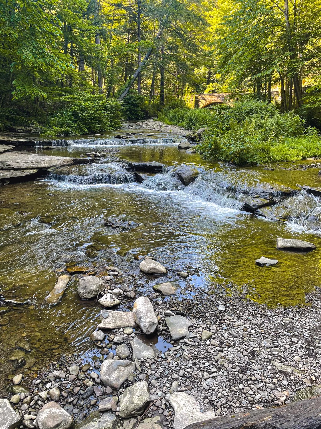 LetchworthStatePark-28June2026-LiamTheoPhotography-65.jpg