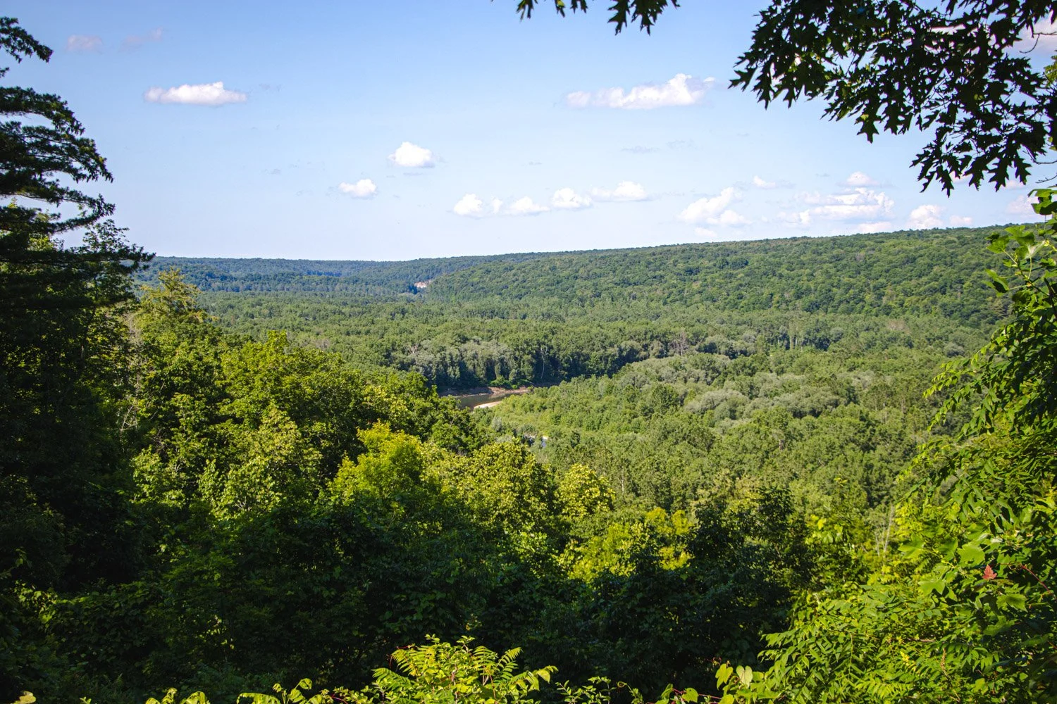 LetchworthStatePark-28June2026-LiamTheoPhotography-16.jpg