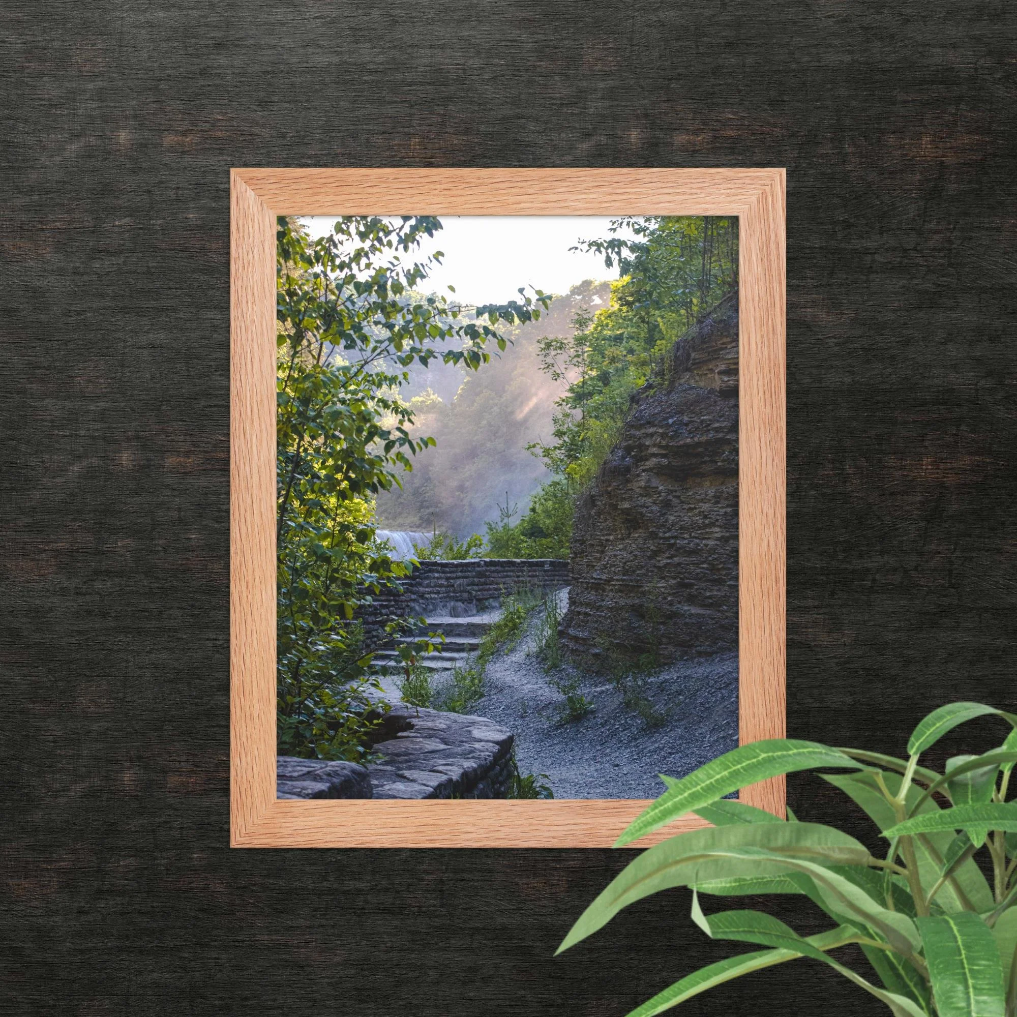 A Walk Along A Hazy Letchworth State Park Photography Print