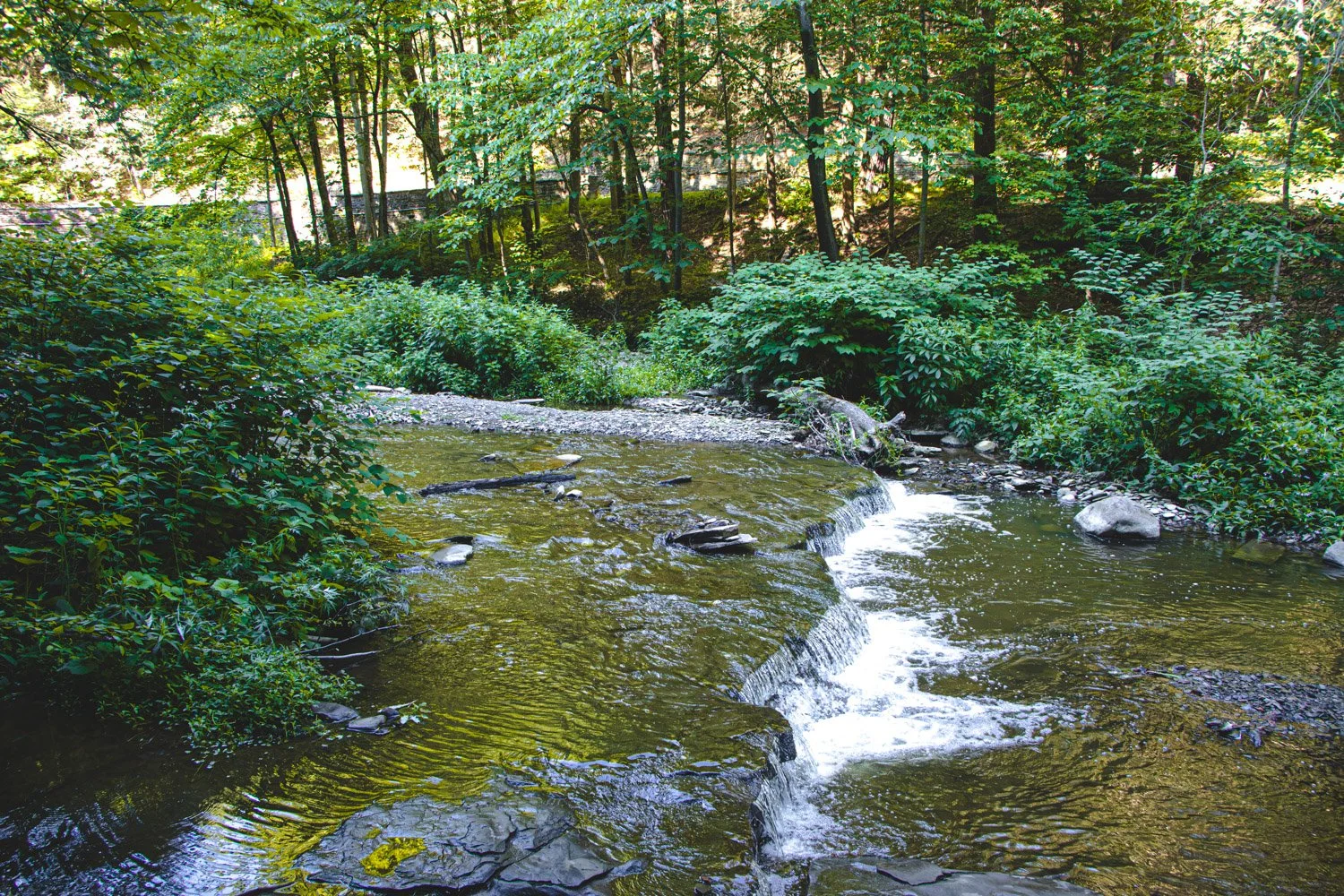 LetchworthStatePark-28June2026-LiamTheoPhotography-48.jpg