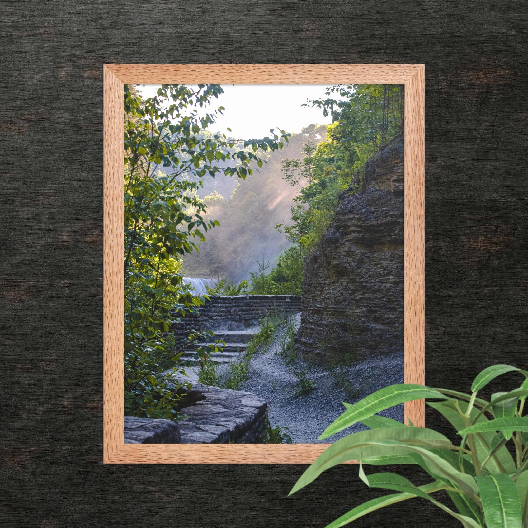 A Walk Along A Hazy Letchworth State Park Photography Print