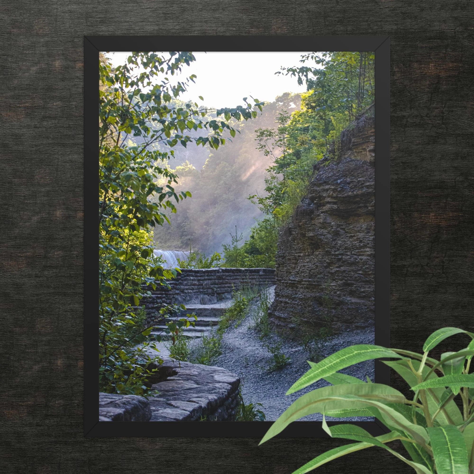 A Walk Along A Hazy Letchworth State Park Photography Print