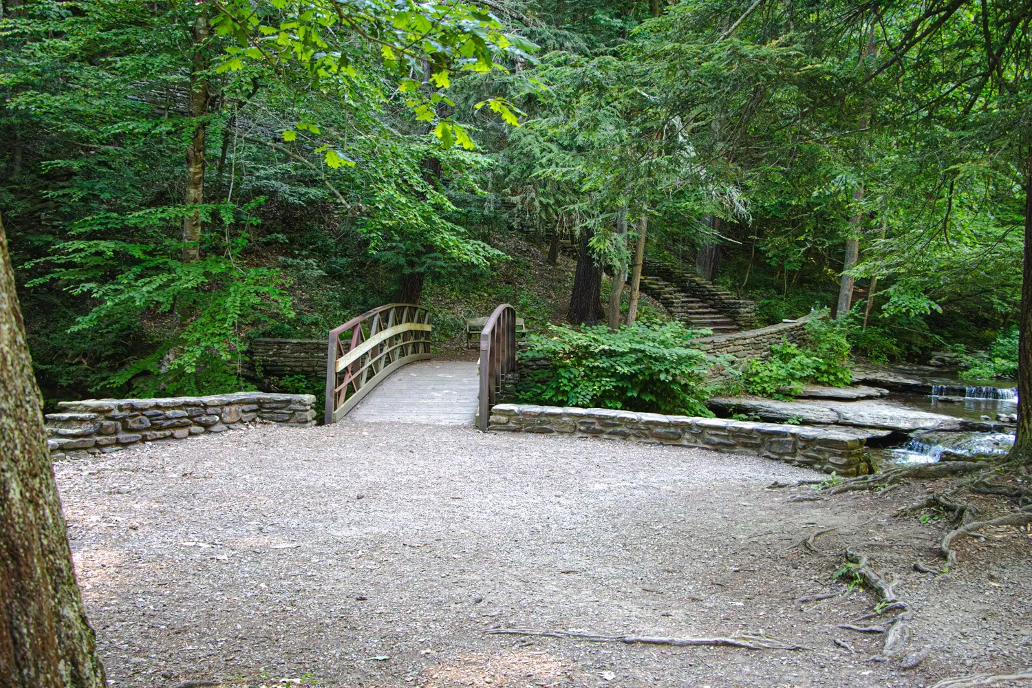 LetchworthStatePark-28June2026-LiamTheoPhotography-40.jpg