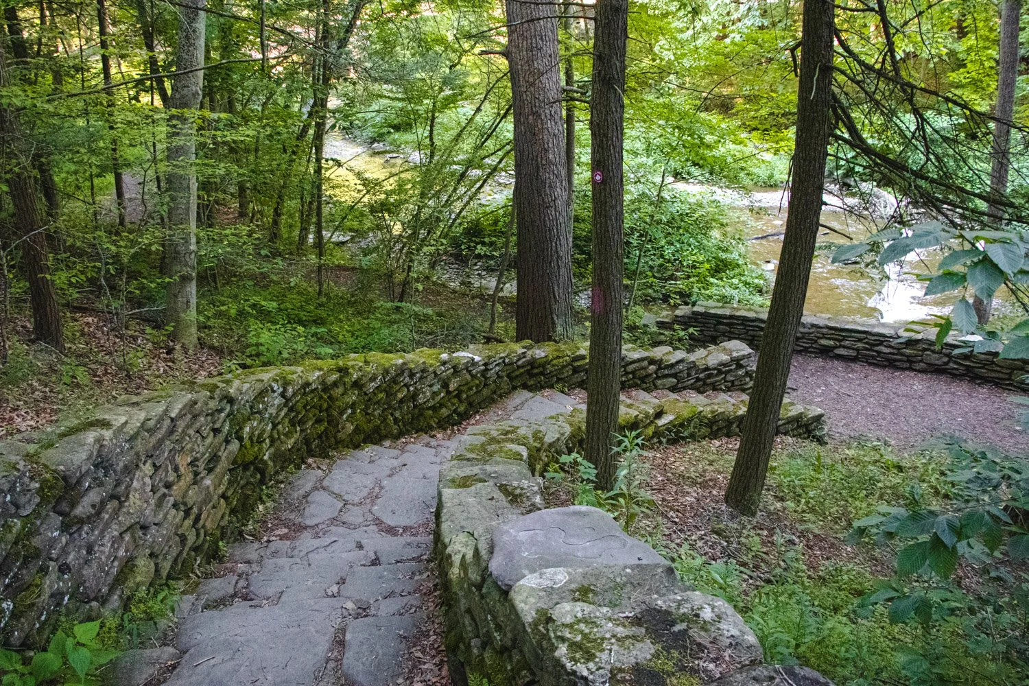 LetchworthStatePark-28June2026-LiamTheoPhotography-47.jpg