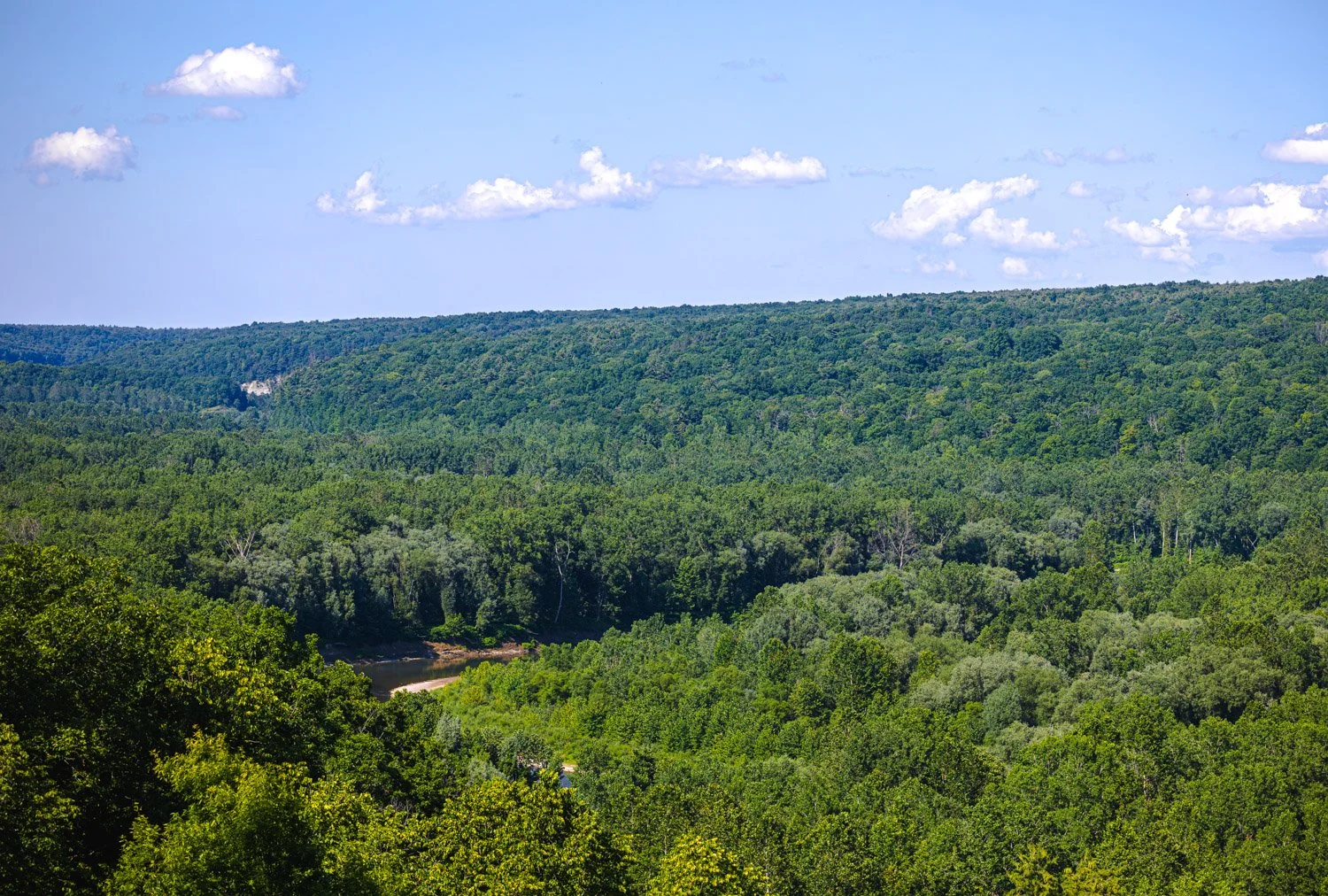 LetchworthStatePark-28June2026-LiamTheoPhotography-08.jpg
