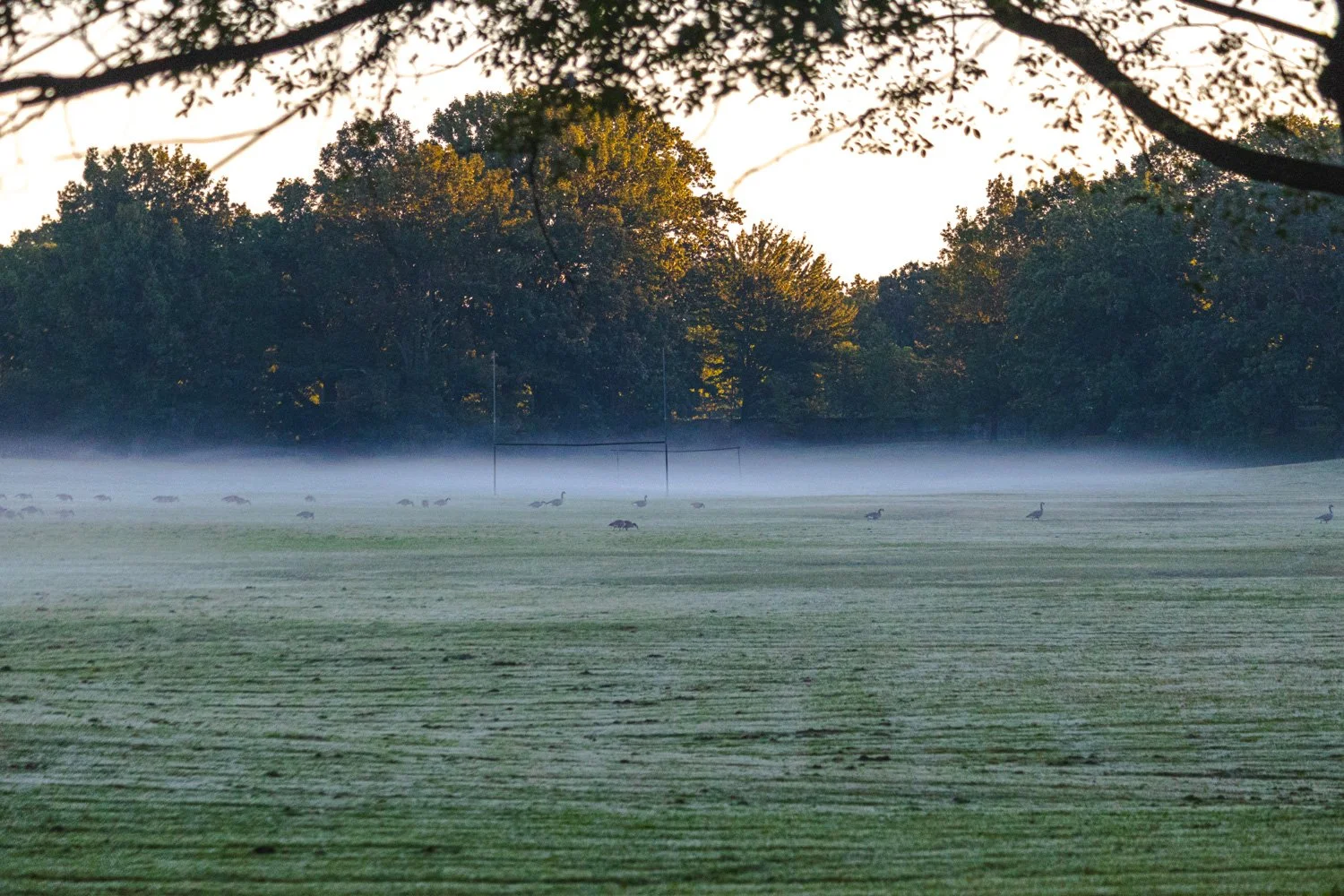 SaturdayMorningInRochesterNewYork-05.jpg