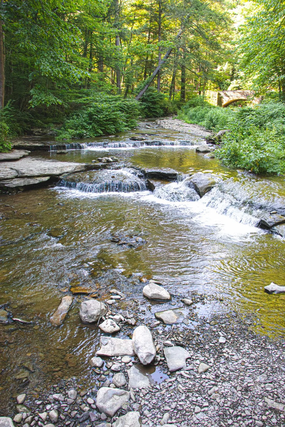 LetchworthStatePark-28June2026-LiamTheoPhotography-42.jpg