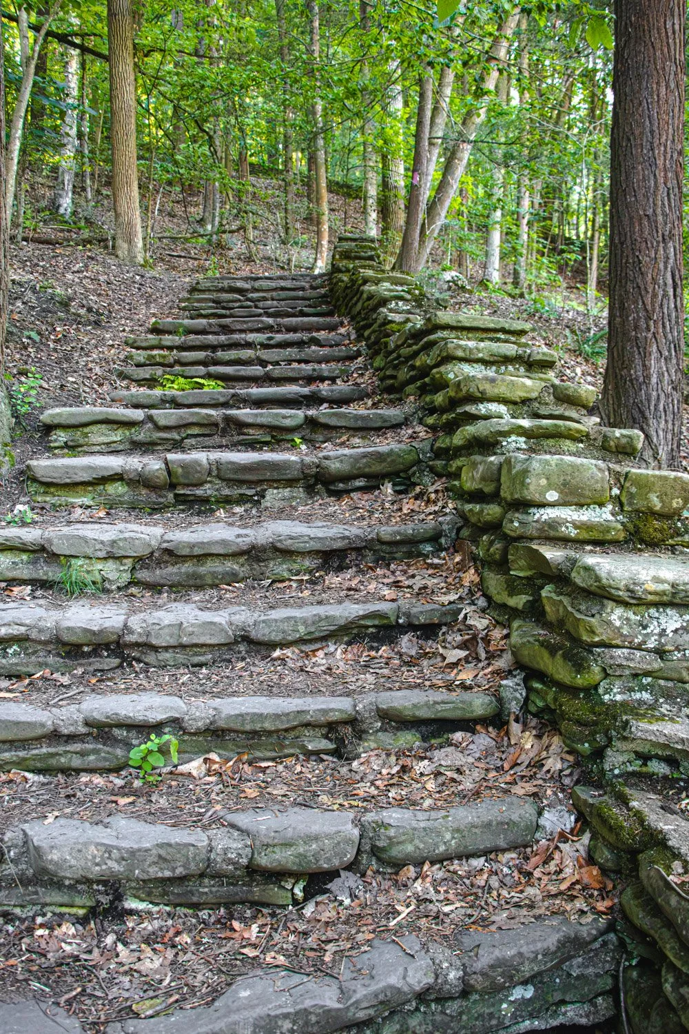 LetchworthStatePark-28June2026-LiamTheoPhotography-45.jpg