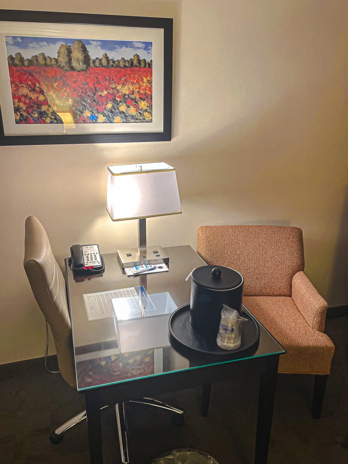 BestWesternWhiteBearLake-DeskArea.jpg