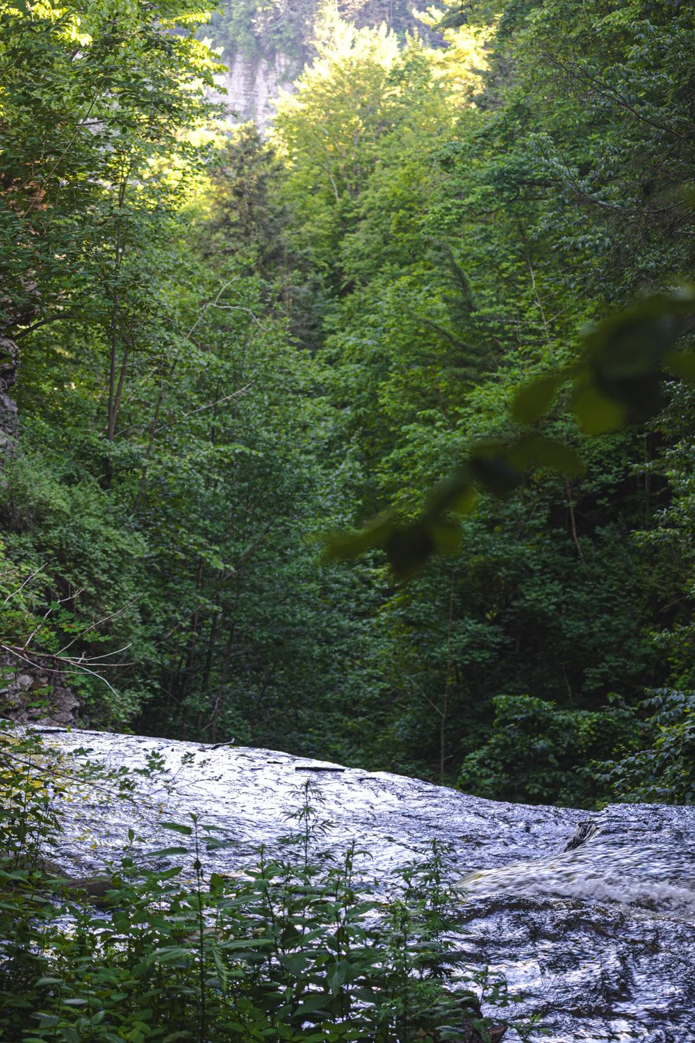 LetchworthStatePark-28June2026-LiamTheoPhotography-17.jpg