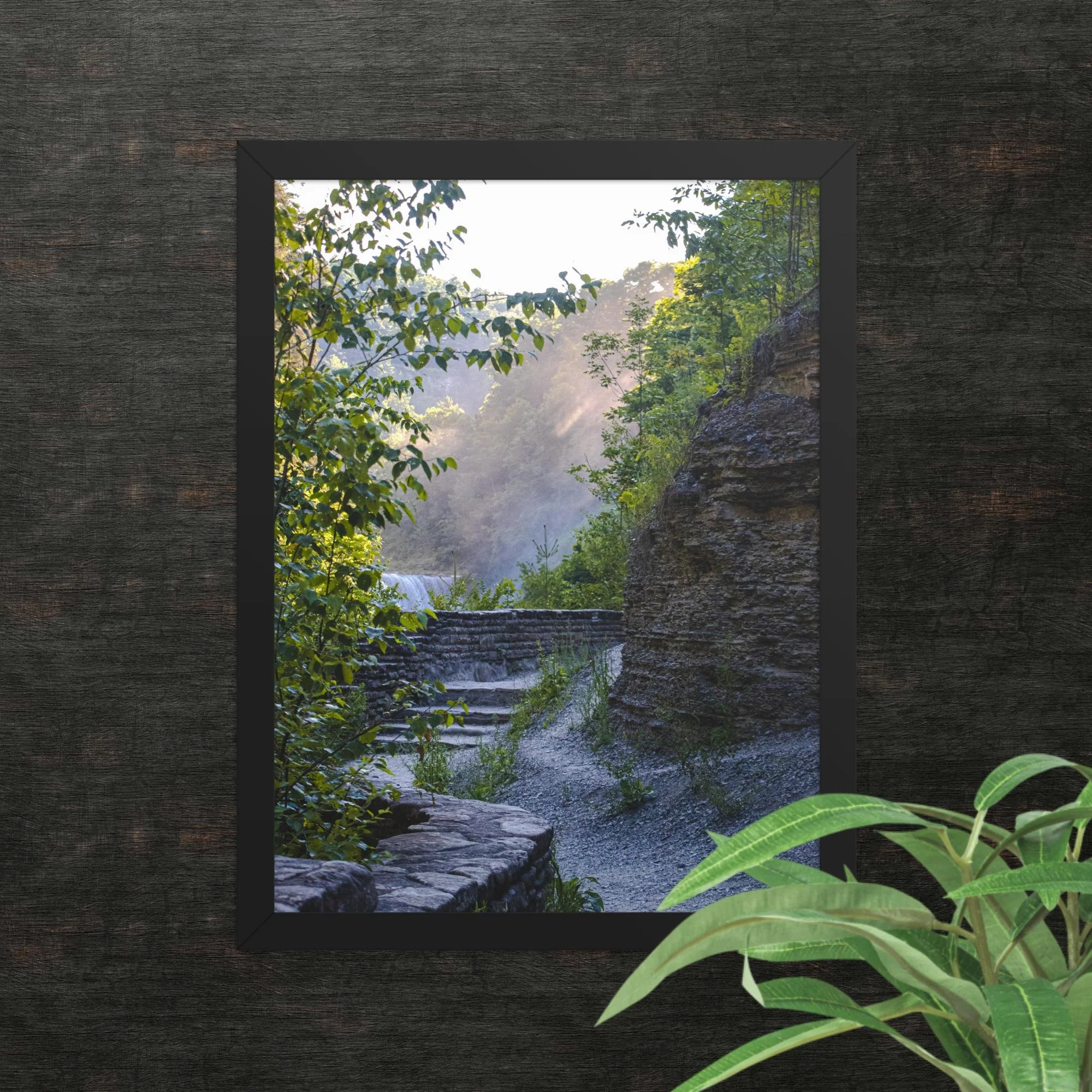 A Walk Along A Hazy Letchworth State Park Photography Print