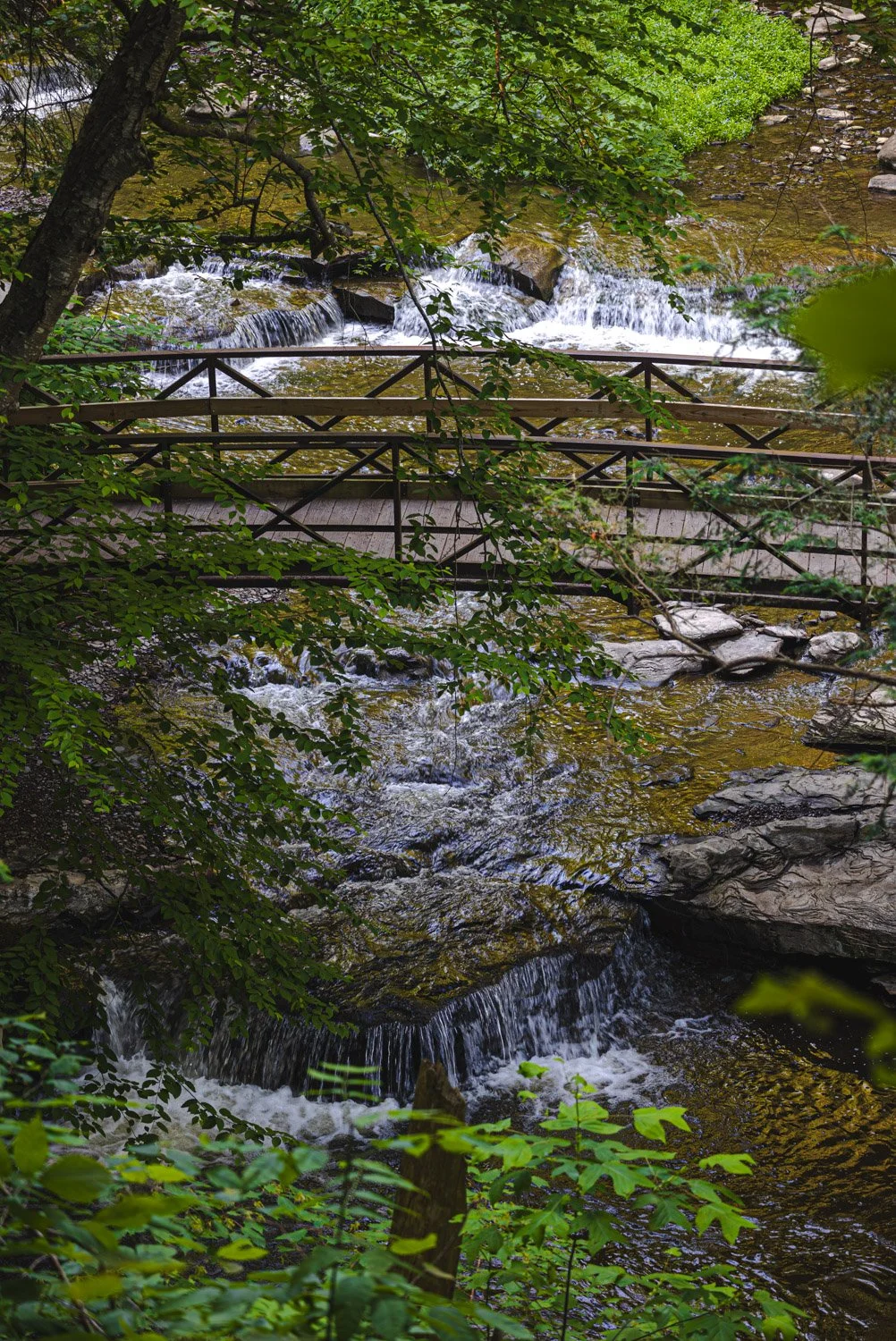 LetchworthStatePark-28June2026-LiamTheoPhotography-21.jpg