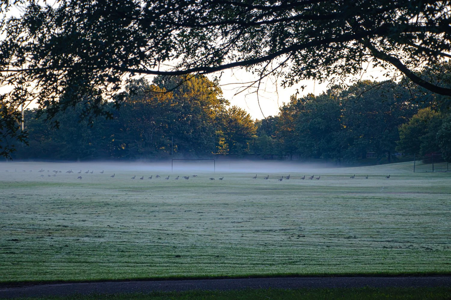SaturdayMorningInRochesterNewYork-13.jpg