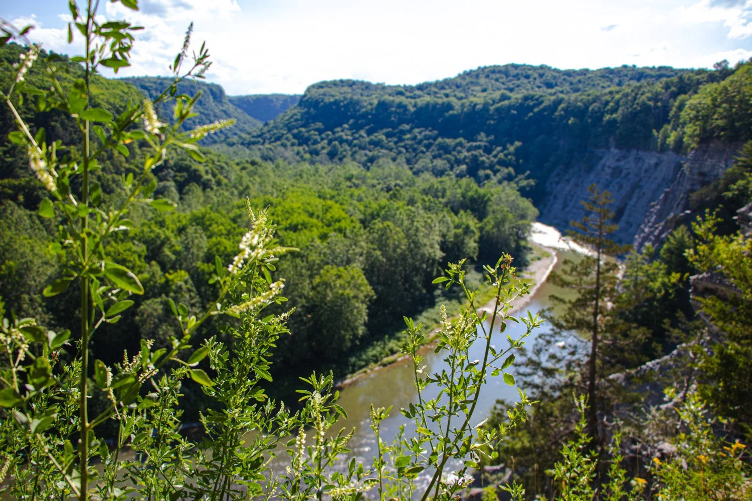 LetchworthStatePark-28June2026-LiamTheoPhotography-25.jpg