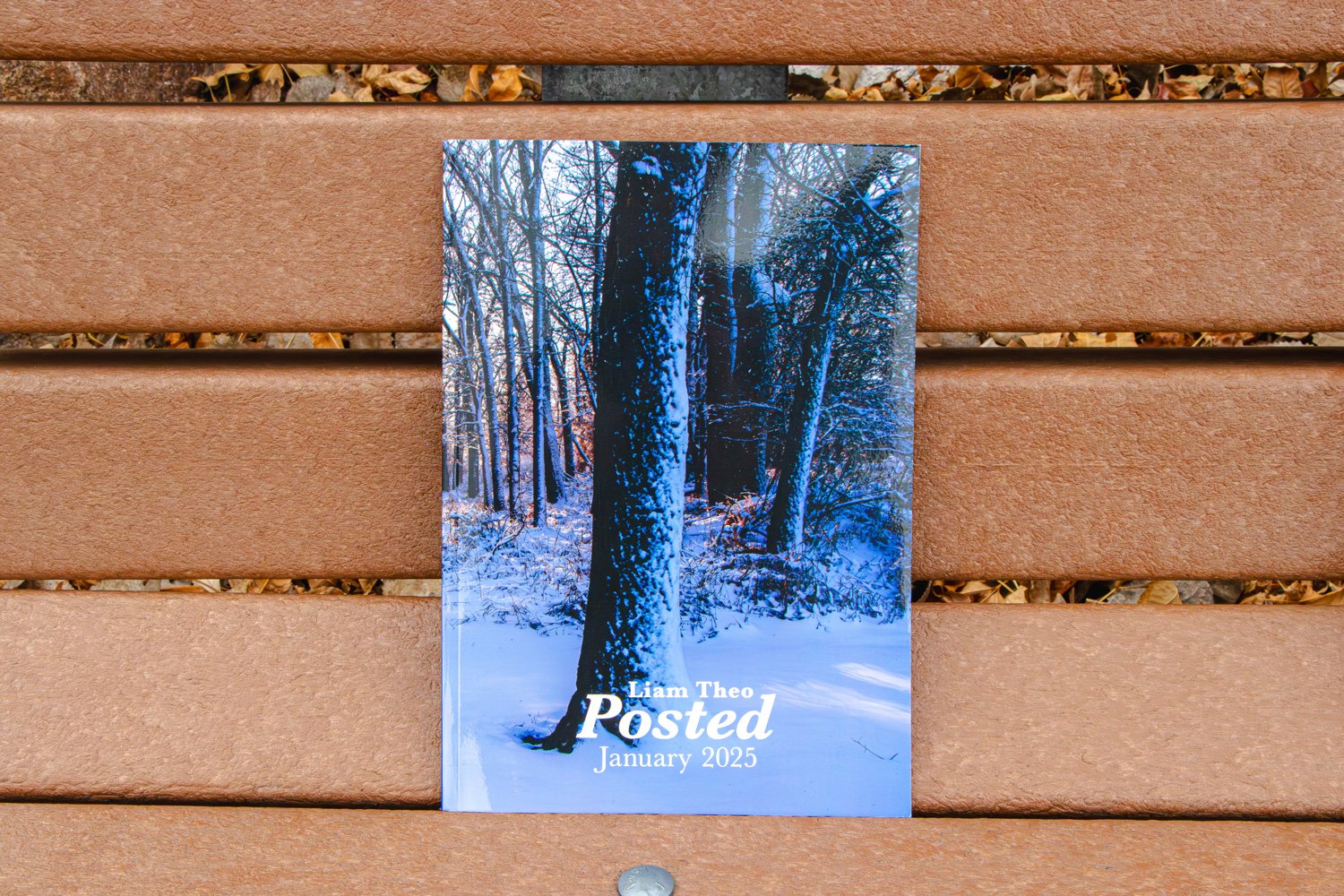 Posted Photography Book