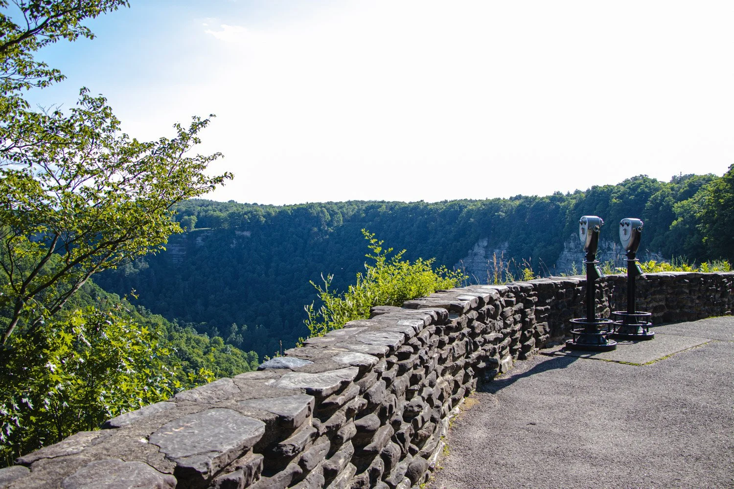 LetchworthStatePark-28June2026-LiamTheoPhotography-54.jpg