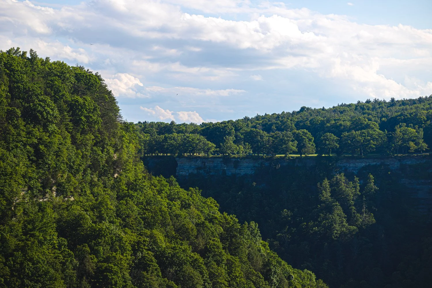 LetchworthStatePark-28June2026-LiamTheoPhotography-44.jpg