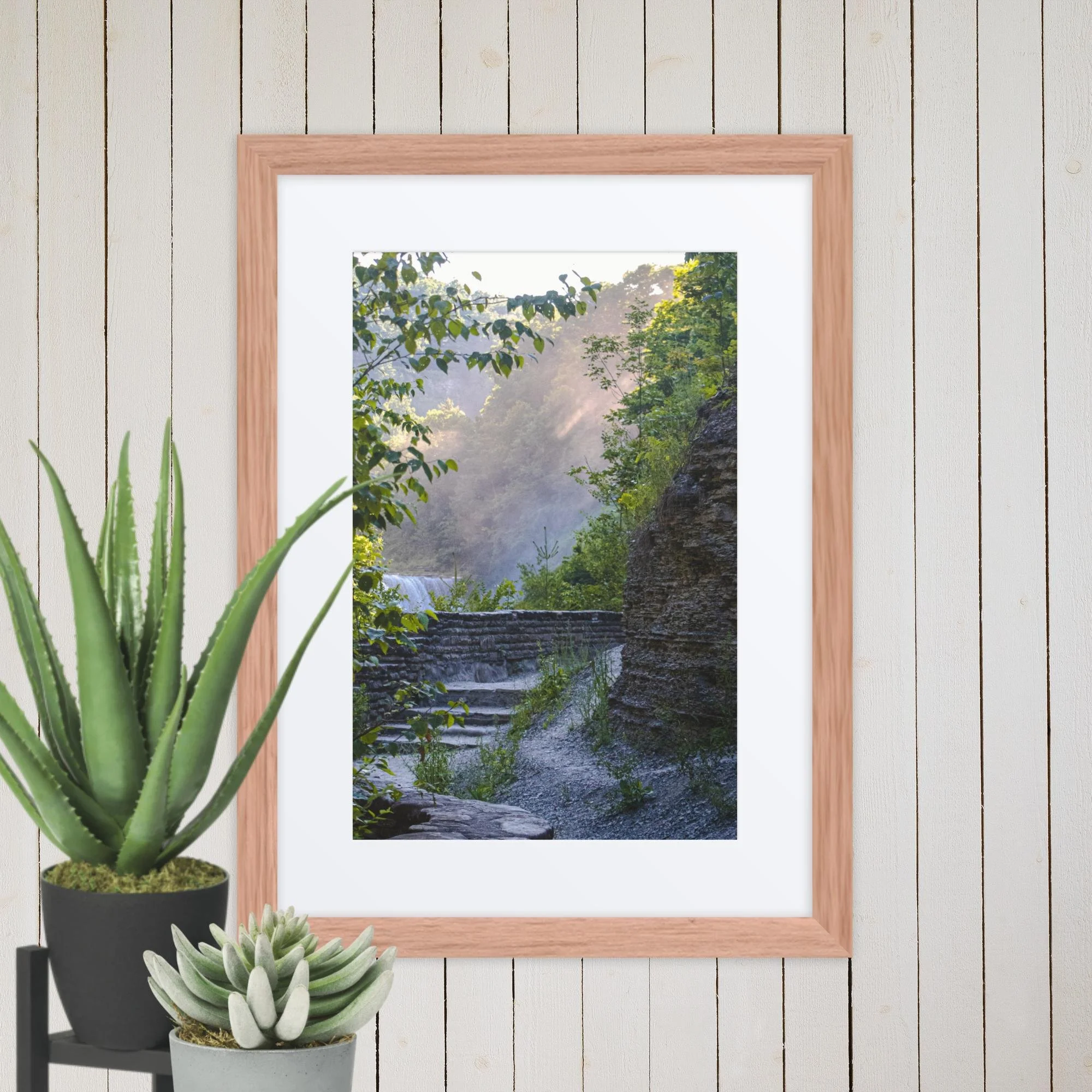 A Walk Along A Hazy Letchworth State Park Photography Print