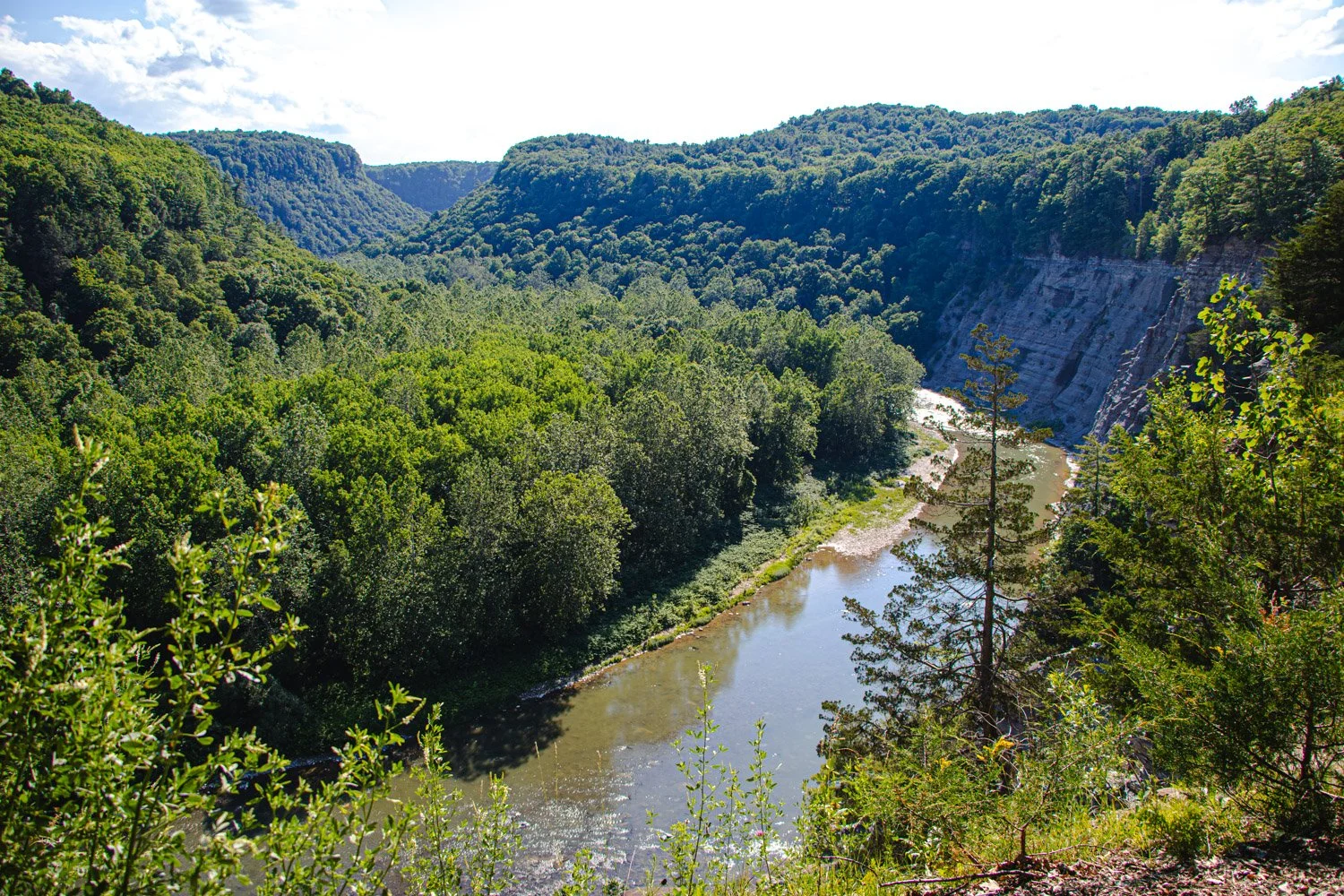 LetchworthStatePark-28June2026-LiamTheoPhotography-24.jpg