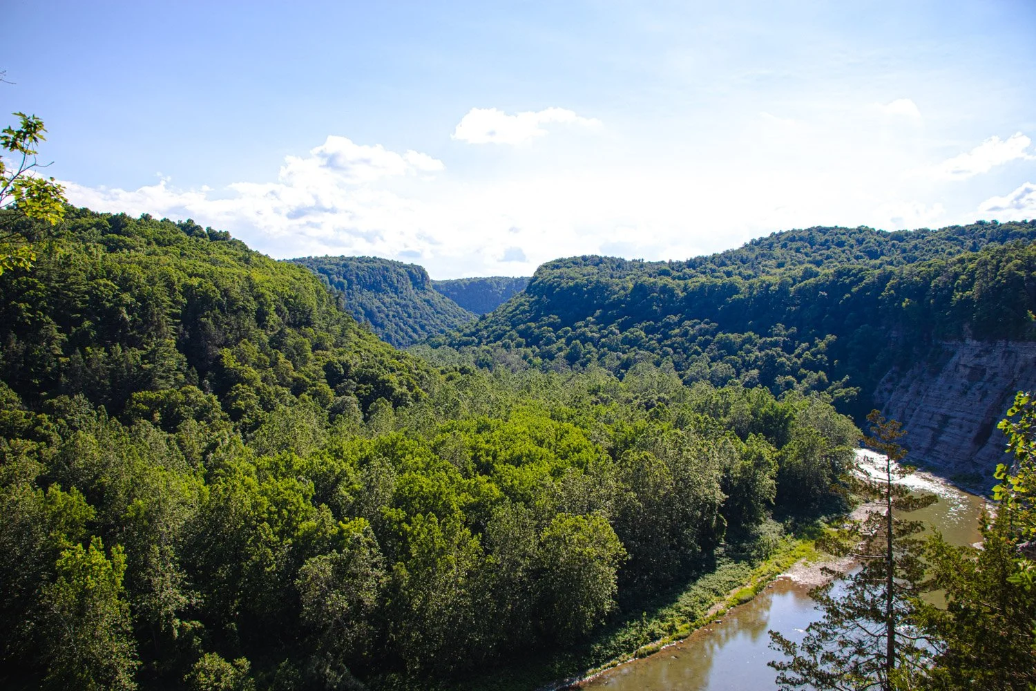 LetchworthStatePark-28June2026-LiamTheoPhotography-22.jpg