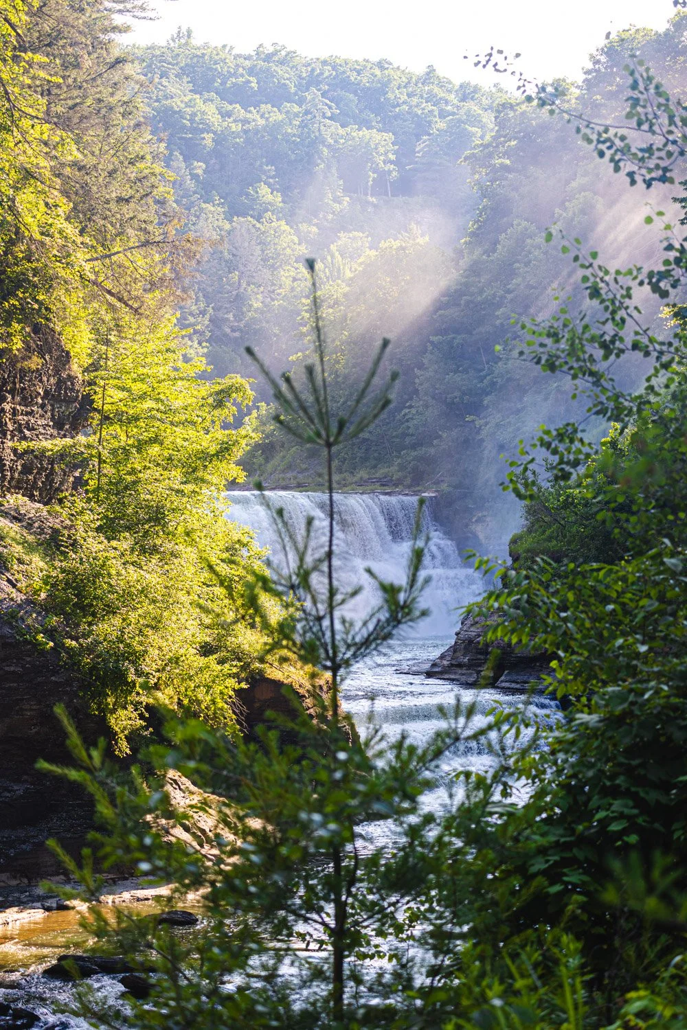 LetchworthStatePark-28June2026-LiamTheoPhotography-67.jpg