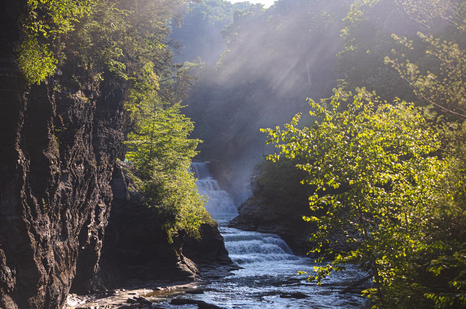 LetchworthStatePark-28June2026-LiamTheoPhotography-70.jpg
