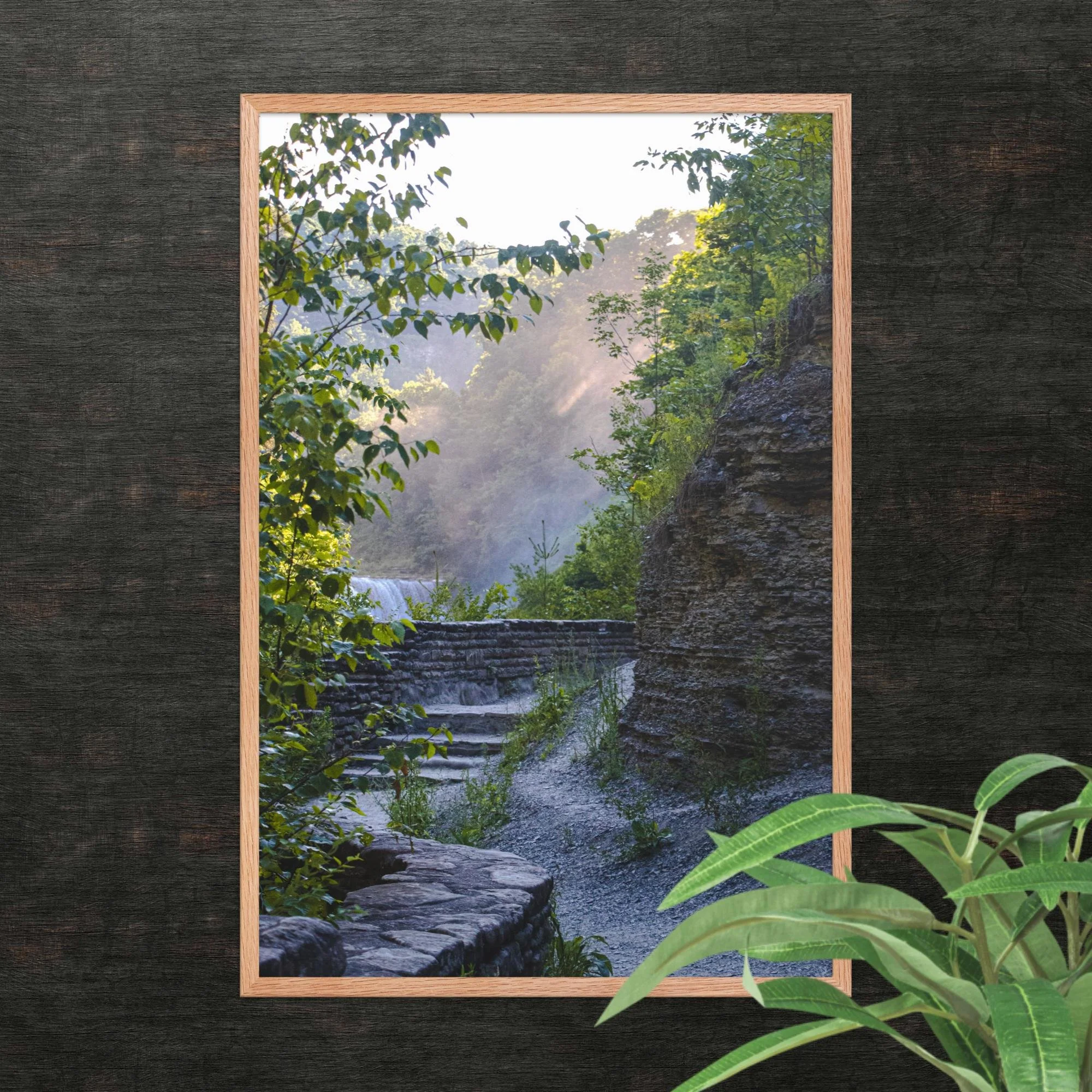 A Walk Along A Hazy Letchworth State Park Photography Print